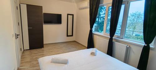 Bacau Apartamento | Luxury Lion Crib