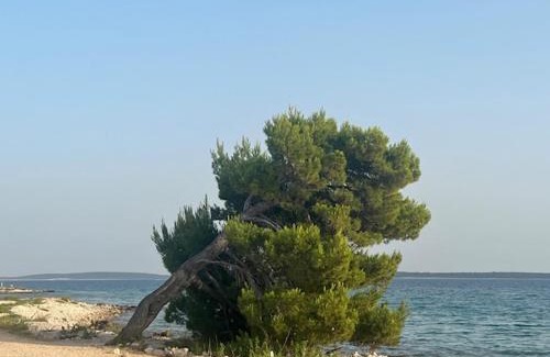 Kolan Apartamento | Luxury Mandre Penthouse