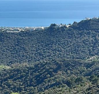 Marbella Apartamento | Luxury Penthouse for lifelong memories