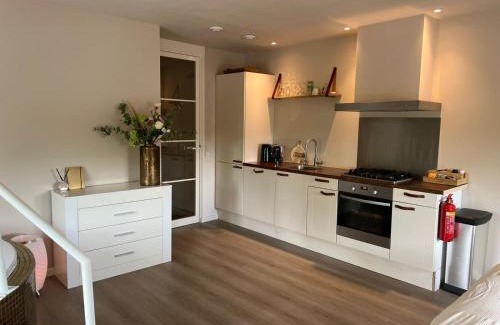 Bodegraven Apartamento | Luxury Private Spa with golden bath, cinema and sauna