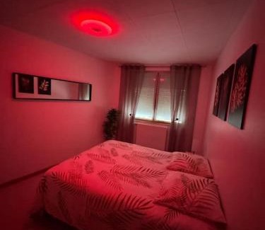 Bar-le-Duc Apartamento | Luxury Room - Havre de paix avec jacuzzi privé