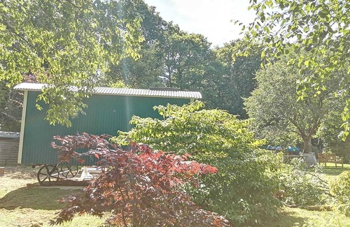 Holcombe Burnell Cabina | Luxury Shepherds Hut Retreat in Devon near Exeter & Dartmoor. Views into woods.