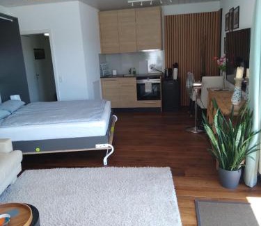 Mettauertal Apartamento | Luxury Studio, Hillside View in Mettau,