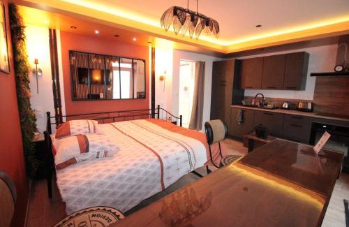 Verdun Apartamento | Luxury Studio, Rez de chaussée, Parking privé vidéo surveillance, Canapé haute qualité convertible couchage 2 personnes, Centre Ville proche, Restaurant, boulangerie 2 minutes à pied, Terrasse - 800mètre carré de terrain - Géré par Presta-Zen'Services