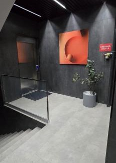 Baia Mare Apartamento | Luxury Suite