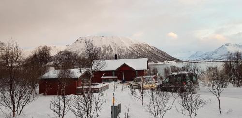 Andoy Chalet De Esquí | Lykkebo, Skjoldehamnveien 1151, Nygård, Andøy