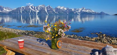 Lyngen Casa | Lyngen Arctic View