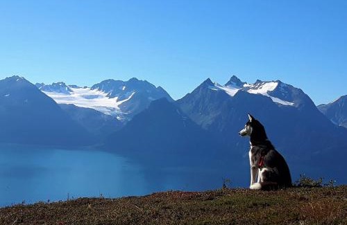 Lyngen Casa | Lyngen Arctic View