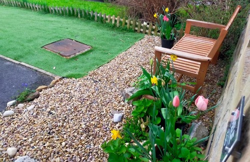 Wadsworth Casa | Lynton House
