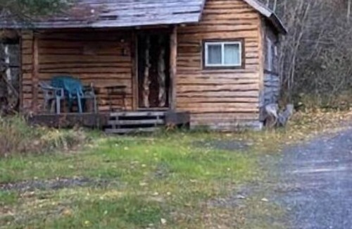 Moose Pass Cabina | Lynx, wildlife, custom log cabin . private lake access, salmon stream kayaking,