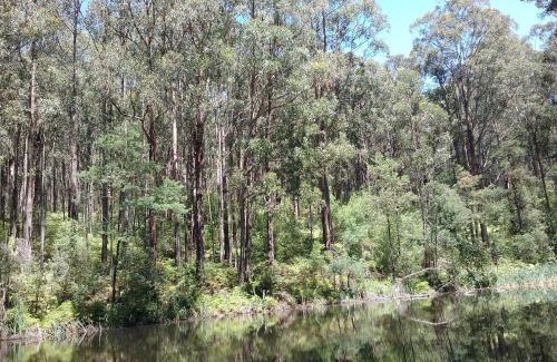 Hallston Casa | Lyrebird Gully Retreat