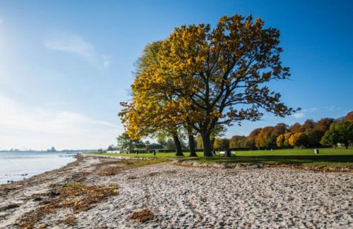 Strandvejen Apartamento | Lys, charmerende, tæt på strand