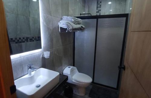 Aguascalientes Apartamento | Máster Suite Departamento cerca de Isla San Marcos