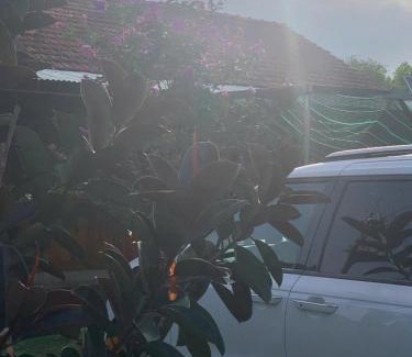 Tay Ninh Casa | Mây's garden camping