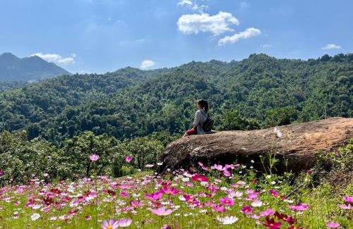 Moc Chau Casa | Mường sang farmstay