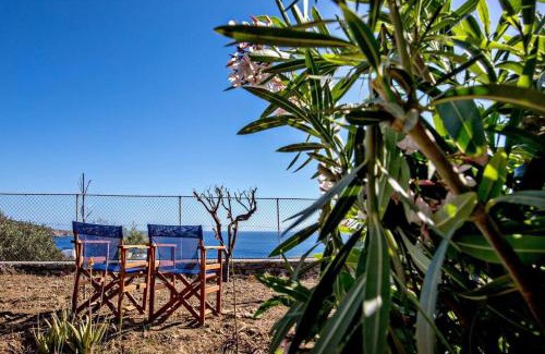 Agios Romanos Casa | M. Houses 4