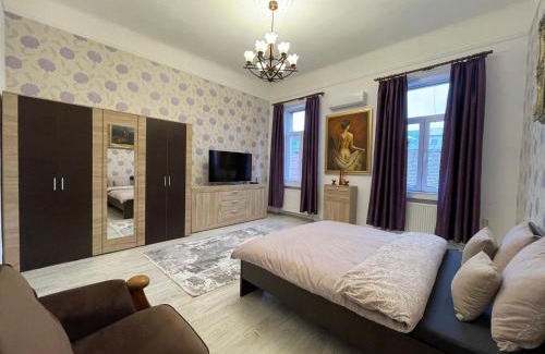 Tirgu Mures Apartamento | M & I Apartment 4