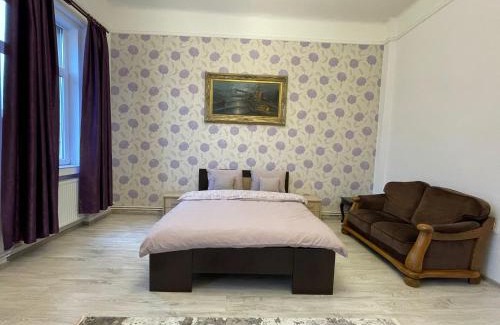 Tirgu Mures Apartamento | M & I Apartment 4