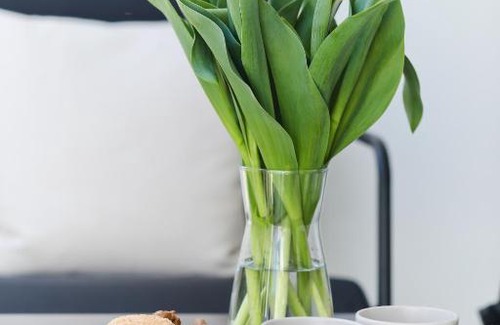 Wyspa Sobieszewska Apartamento | M&K Apartamenty Amber Delux, Gdańsk - Wyspa Sobieszewska