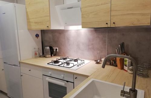Panevezys Apartamento | M&M Apartment I Self CHECK-IN