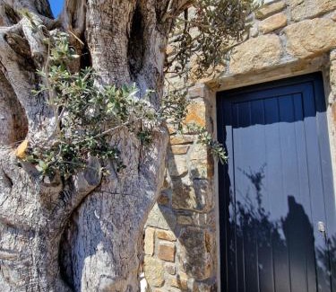 Kalafatis Apartamento | M-Vibes Mykonos Suites