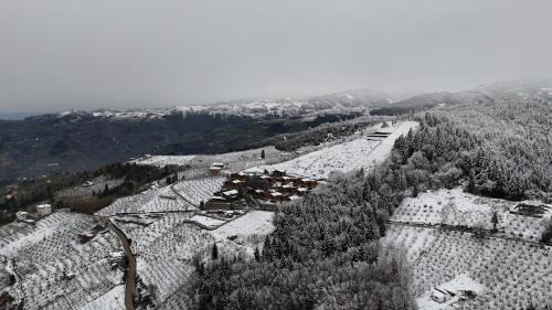 Trabzon Complejo | Mağmat Resort & Bungalows