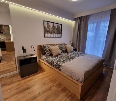 Czestochowa Apartamento | Mała Poleska - przytulny apartament z ogródkiem