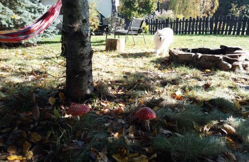 gmina Wojnicz Apartamento | Małopolskie Swojskie