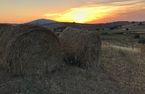 Capalbio Cama Y Desayuno | Macchiabuia