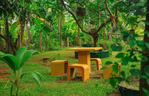 Inamaluwa Cabina | Machcha Lodge Sigiriya