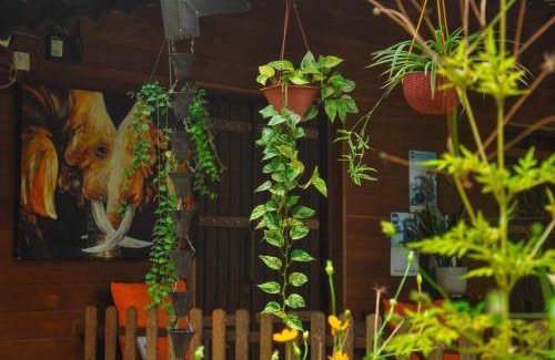 Inamaluwa Cabina | Machcha Lodge Sigiriya