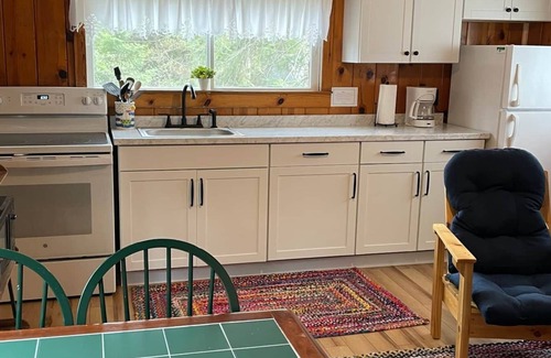 Cedarville Cabina | Mackinac Cabin - Les Cheneaux Landing