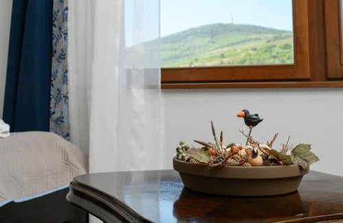 Tokaj Casa | Madárdalos Kert és Vendégház