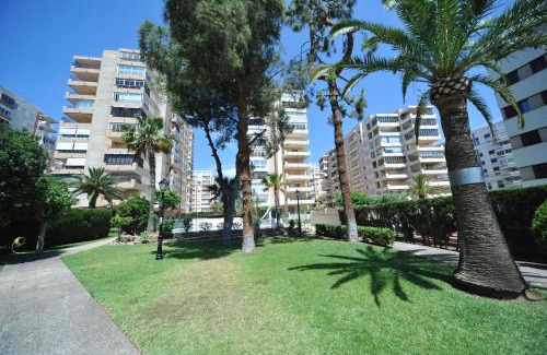 Benicassim Apartamento | Madeira Superior Orangecosta