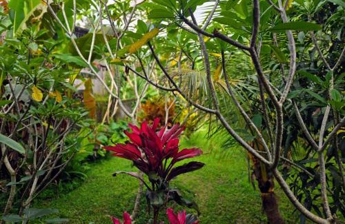 Buahan Apartamento | Madesimon Villa Apt