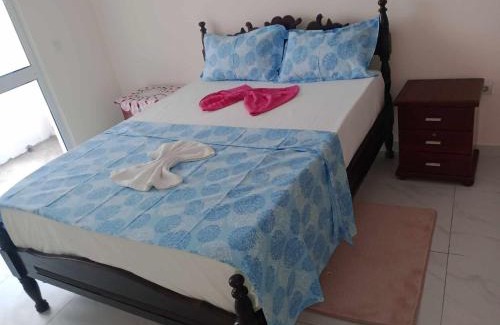 Santiago Casa | Magei