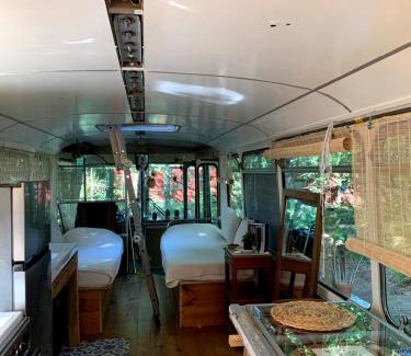 Mimizan Otro | Magic Roof Top Bus with big bath in the tree forest!