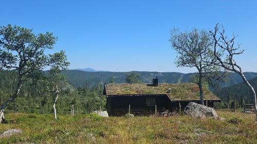 Vinje Chalet De Esquí | Magic View - Unspoiled nature - Summer mountain pasture with goats
