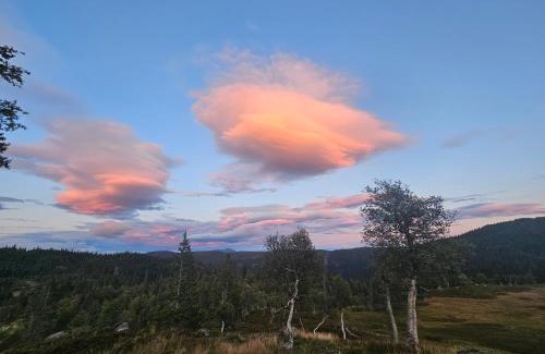 Vinje Chalet De Esquí | Magic View - Unspoiled nature - Summer mountain pasture with goats