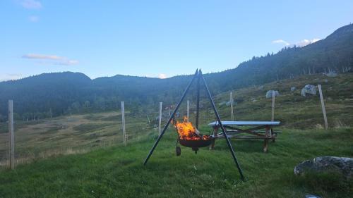 Vinje Chalet De Esquí | Magic View - Unspoiled nature - Summer mountain pasture with goats