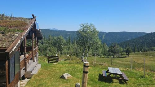 Vinje Chalet De Esquí | Magic View - Unspoiled nature - Summer mountain pasture with goats