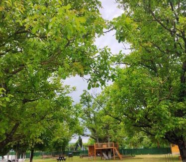 Imereti Apartamento | Magical heaven Bazaleti