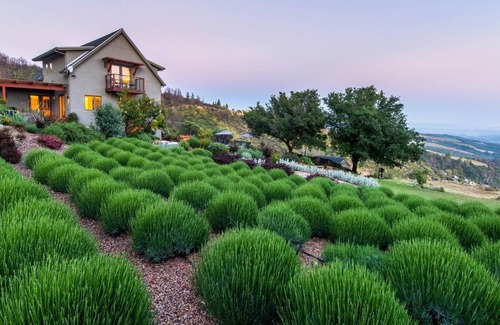 Glen Ellen Villa | Por encima del famoso Valle de la Luna de Sonoma.