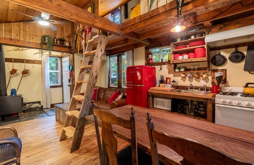 Ashford Cabina | Magical Woodland Retreat just 8 miles from Mount Rainier national Park!