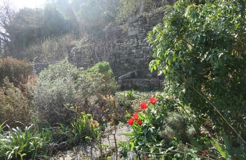 Forcalquier Casa | Magnificent building with swimming pool and garden in the heart of the village