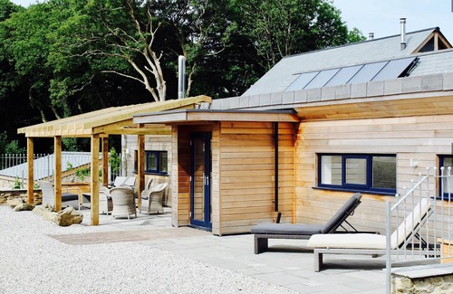 Newquay Cabina | Magnolia Dog - A luxury couples+ Yurt on a stunning historic estate near Newquay. Dog friendly