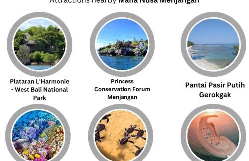 Goris Casa | Maha Nusa Menjangan