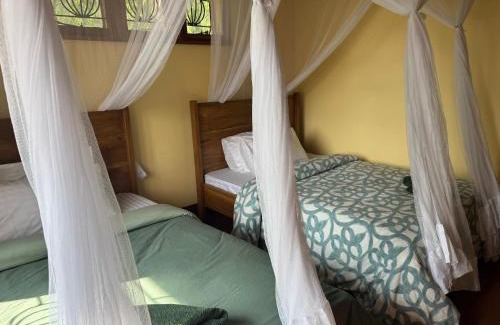 Moshi Casa | Mahali House