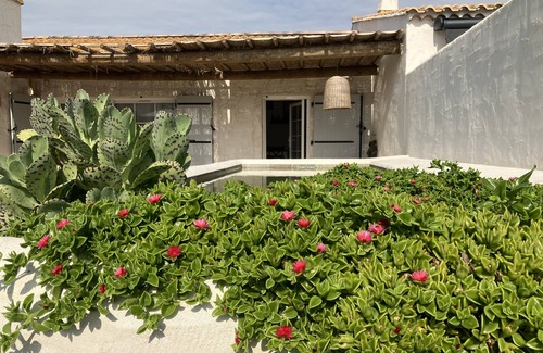 Saintes-Maries-de-la-Mer Casa | Maison en Camargue à 5 mn des Saintes Maries de la Mer Avec Bassin D'agrément