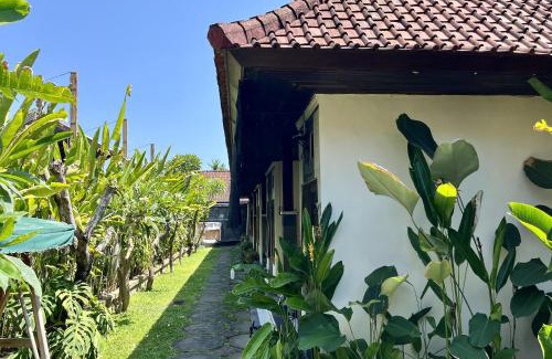Sanur Casa | Mai Guest House Sanur